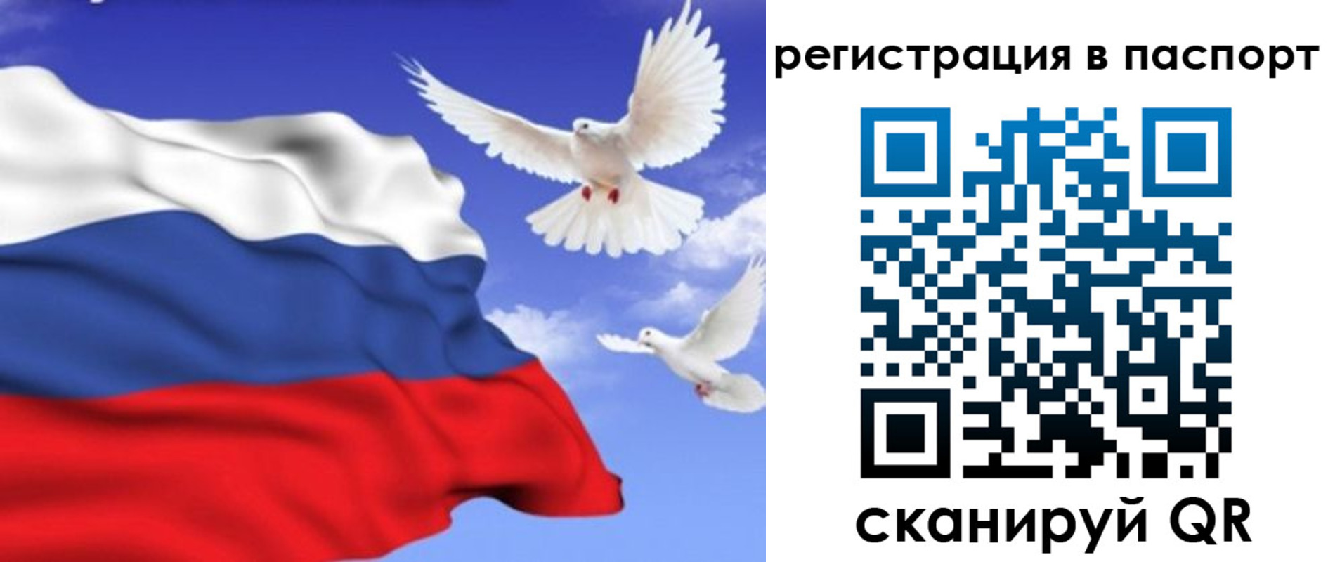 купить прописку в Звенигово